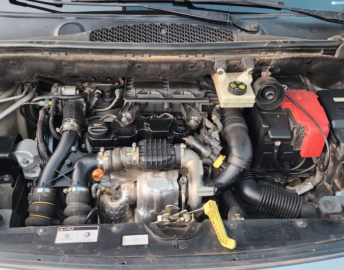 20260310_195615 20260310_195615